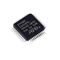 Schaltersteuerungs-Chip MCU STM32F030C8T6 LQFP48 32Bit